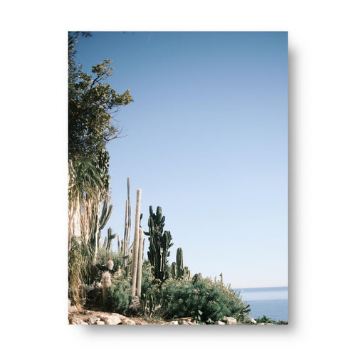Museum-Quality Matte Poster - Monaco