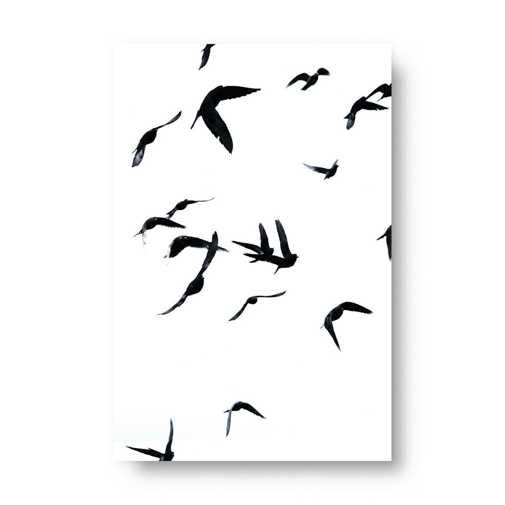 Museum-Quality Matte Poster - Birds