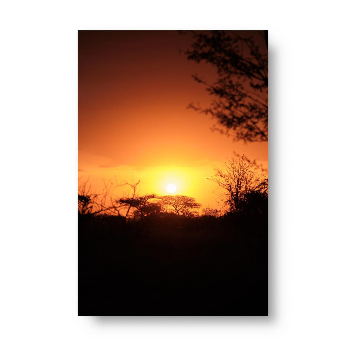 Sunset over a landscape with silhouetted trees poster