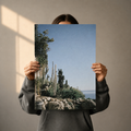 Museum-Quality Matte Poster - Cactus