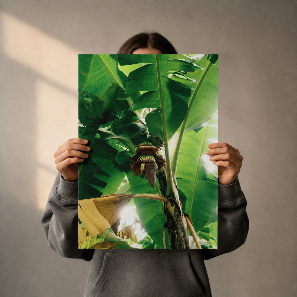 Museum-Quality Matte Poster - Banana Two