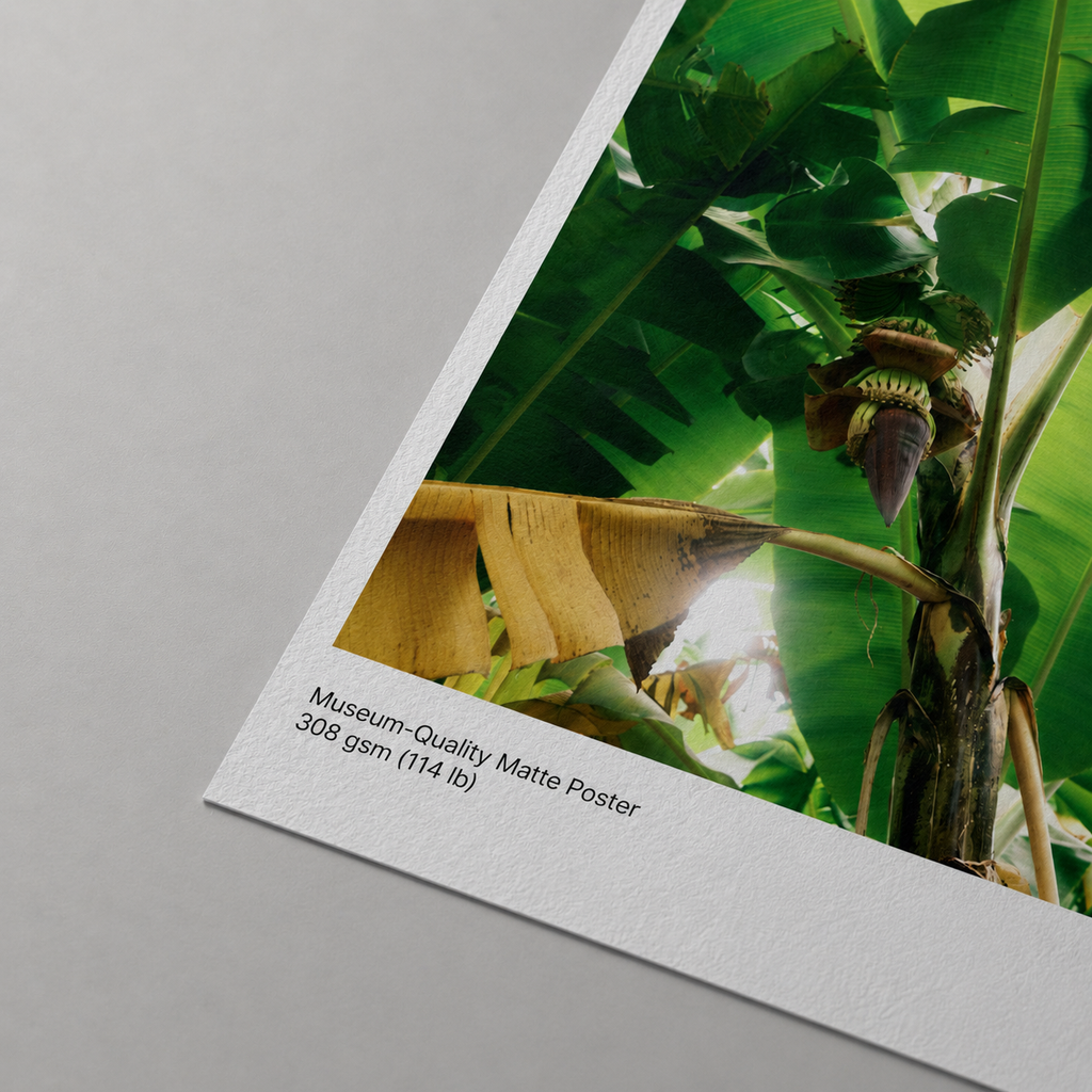 Museum-Quality Matte Poster - Banana Two