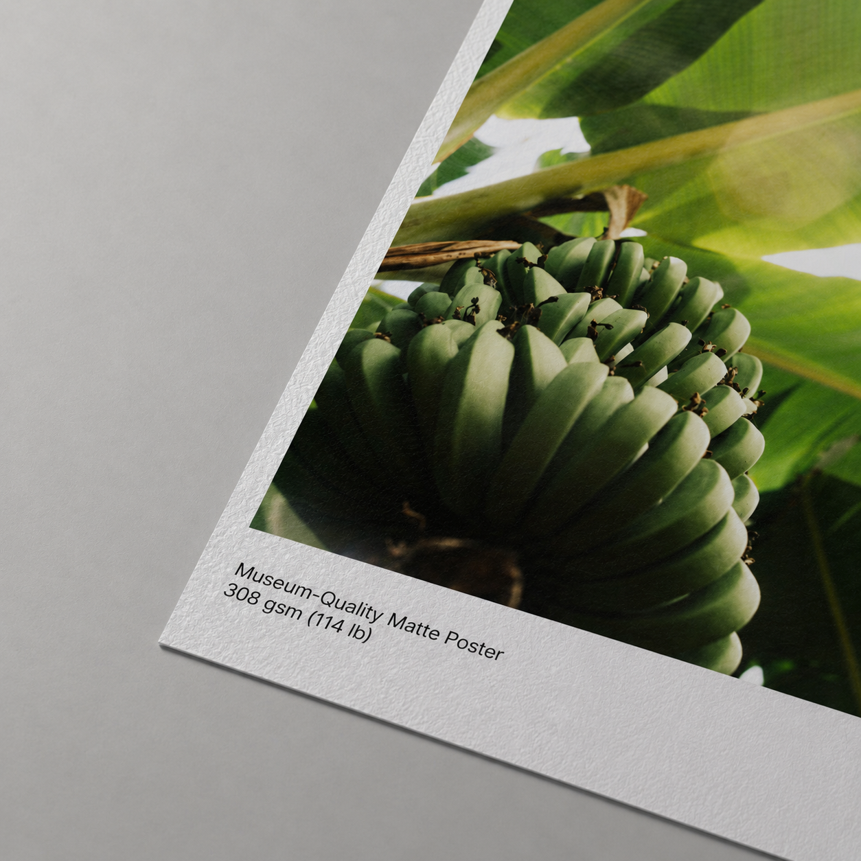 Museum-Quality Matte Poster - Banana Three