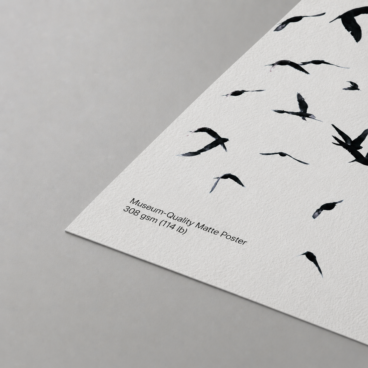 Museum-Quality Matte Poster - Birds